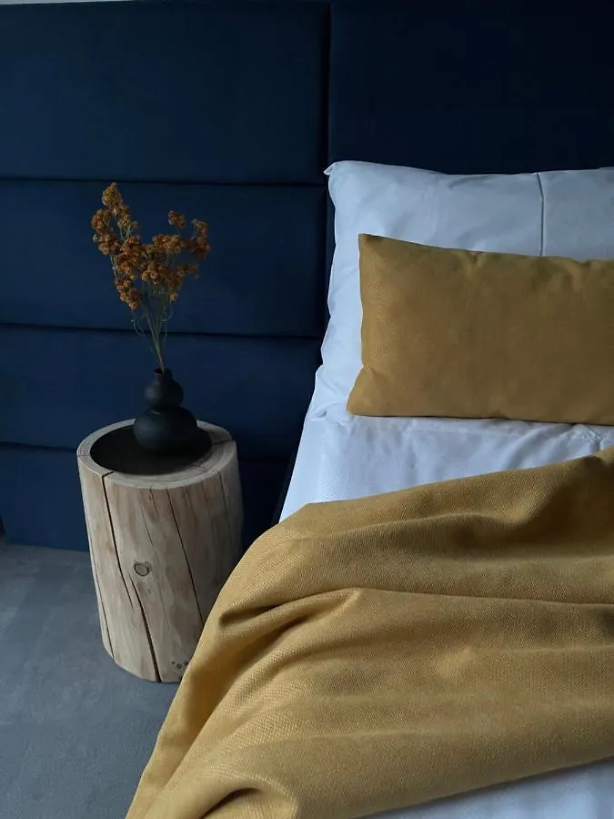 Bed & Breakfast Aspen House Zakopane Pokoje I Apartamenty
